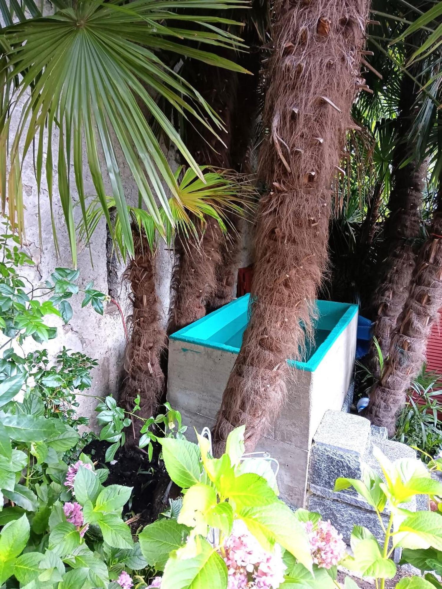 Casa Belgeri - Bed & Breakfast Dongio Bagian luar foto